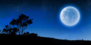 Read more about the article What About the Lunar Sabbath?